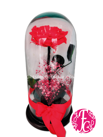 Rosa preservada Roja - Flores de Colombia